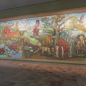 Elephant mural