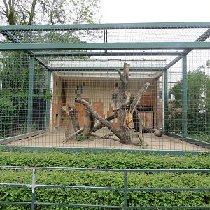 Alfred Brehm house - outdoors