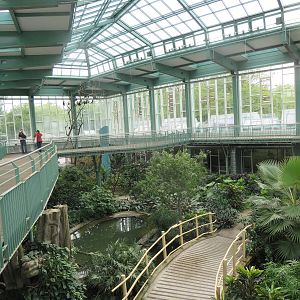 Alfred Brehm house - tropical hall