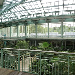 Alfred Brehm house - tropical hall