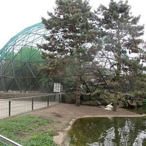 Gull aviary and nordic waterfowl