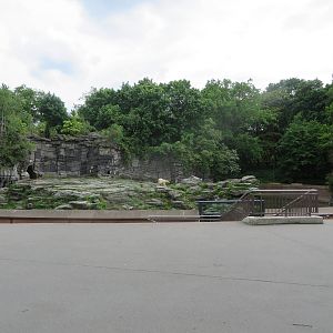 Polar bear enclosure