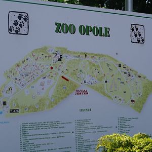 Plan zoo