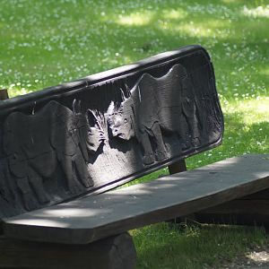 Bench at the zoo