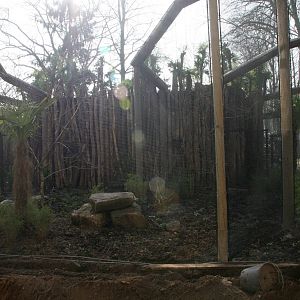 central section of the new Toucan aviary