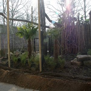 right side of the new Toucan aviary