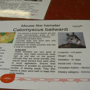 Askham Bryan Agricultural College- Exciting Sign