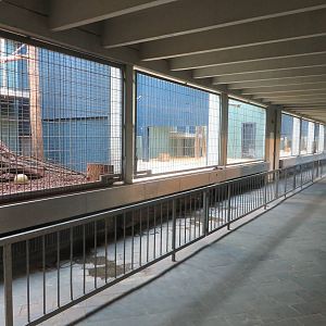 Carnivore house - indoor enclosures