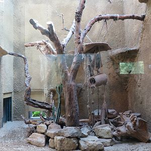 Carnivore house - Boky indoors