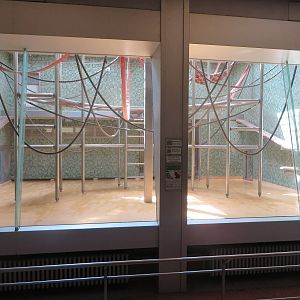 Primate house - indoors