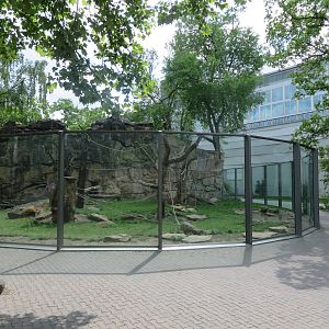 Lion tailed macaque enclosure