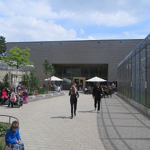 Bird houise - main entrance