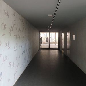 Bird house - corridor
