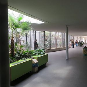 Bird house - parrot and South American section