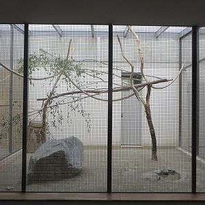 Bird house - parrot indoors