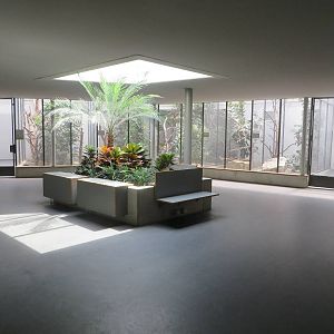 Bird house - Asian section