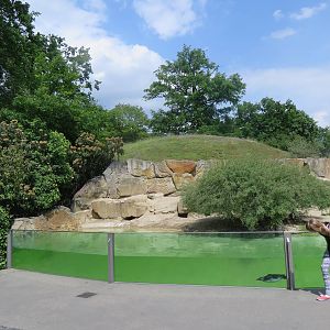Penguin enclosure