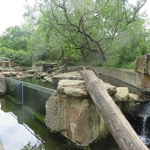 Otter enclosure