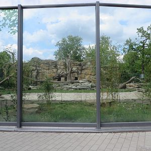 Renovated bear enclosure
