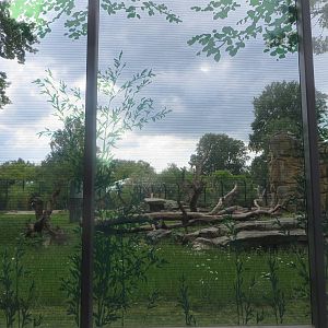 Renovated bear enclosure