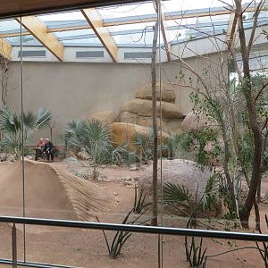 Bird house - Australian free flight