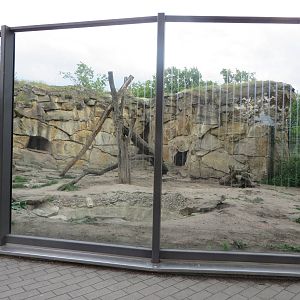 Renovated bear enclosure