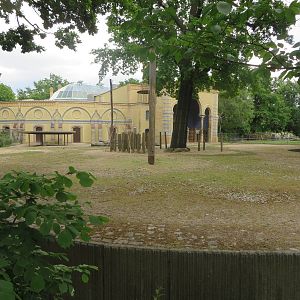 Antelope house - Giraffe outdoors