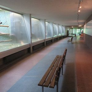 Primate house - Ape section