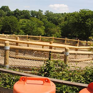 Cleveland Zoo - New Giraffe Deck