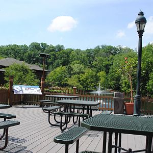 Cleveland Zoo - Waterfowl Lake Deck