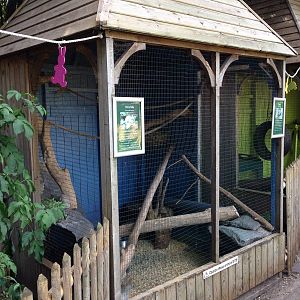 Chinchilla and degu enclosure
