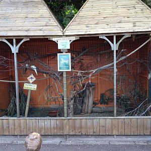 Australian aviary