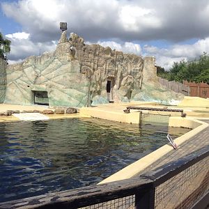 Harbor Porpoise Enclosure (Old Walrus Enclosure) - 2015