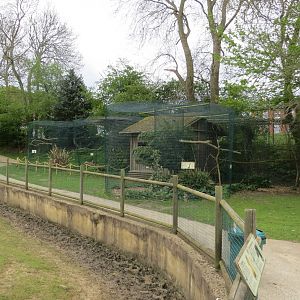 Seriema Aviary and Caracara Aviary 070515