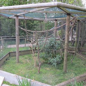 Marmoset Enclosure 070515