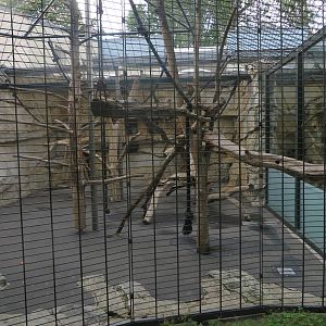 Primate house - macaque outdoors
