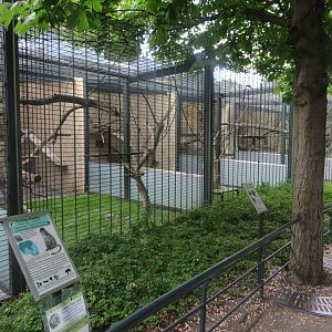 Primate house - outdoor cages