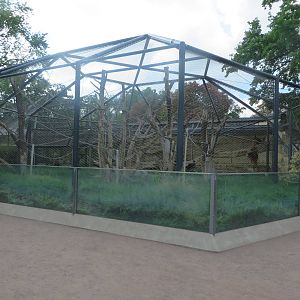 Primate house - orang utan outdoors