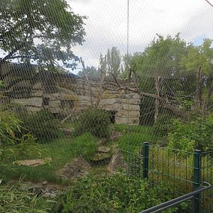 Primate house - chimpanzee outdoors