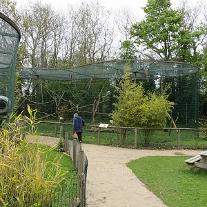 Monkey Enclosure 070515