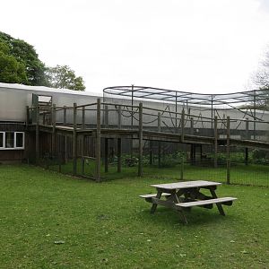 Tropical House and Monkey Enclosure 070515