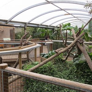 Tropical House 070515