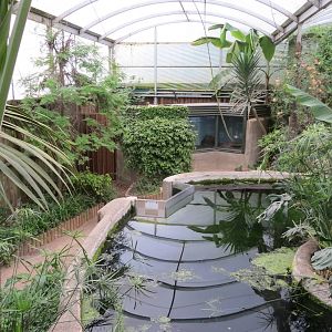 Tropical House 070515