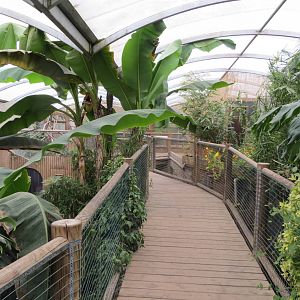 Tropical House 070515