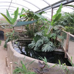 Tropical House 070515