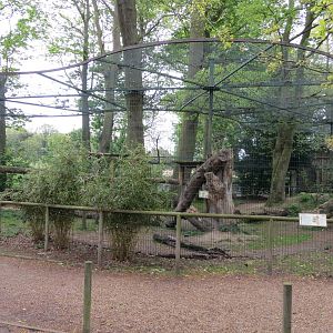 Puma Enclosure 070515