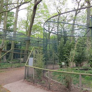 Cat Enclosures 070515