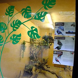 Indoor Section for Birds