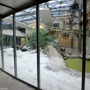 Komodo Dragon Enclosure in Cold-blooded Animals Pavilion