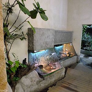 Small Tortoise Tank in Cold-blooded Animals Pavilion